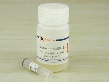 HDAC6抗体(兔多抗)